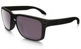 HOLBROOK PRIZM  DAILY POLARIZED COVERT COLLECTION