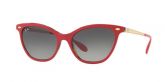 Ray-Ban RB4361 123411