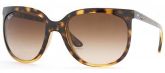 Ray Ban RB 8113 Cats 137