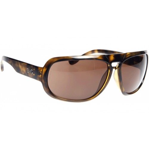 Dolce & Gabbana DD8064 Havana