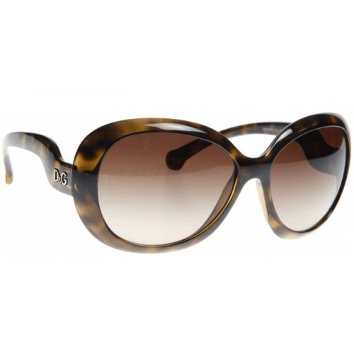 Dolce & Gabbana DD8063 Havana